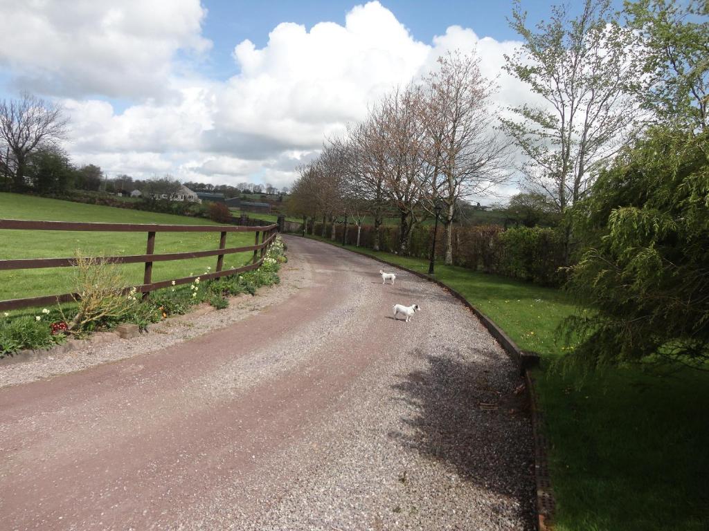 Westwood Country House Blarney Dış mekan fotoğraf